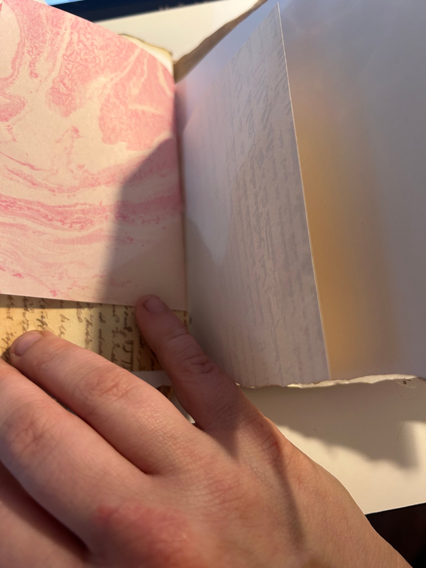 Tulip field journal
