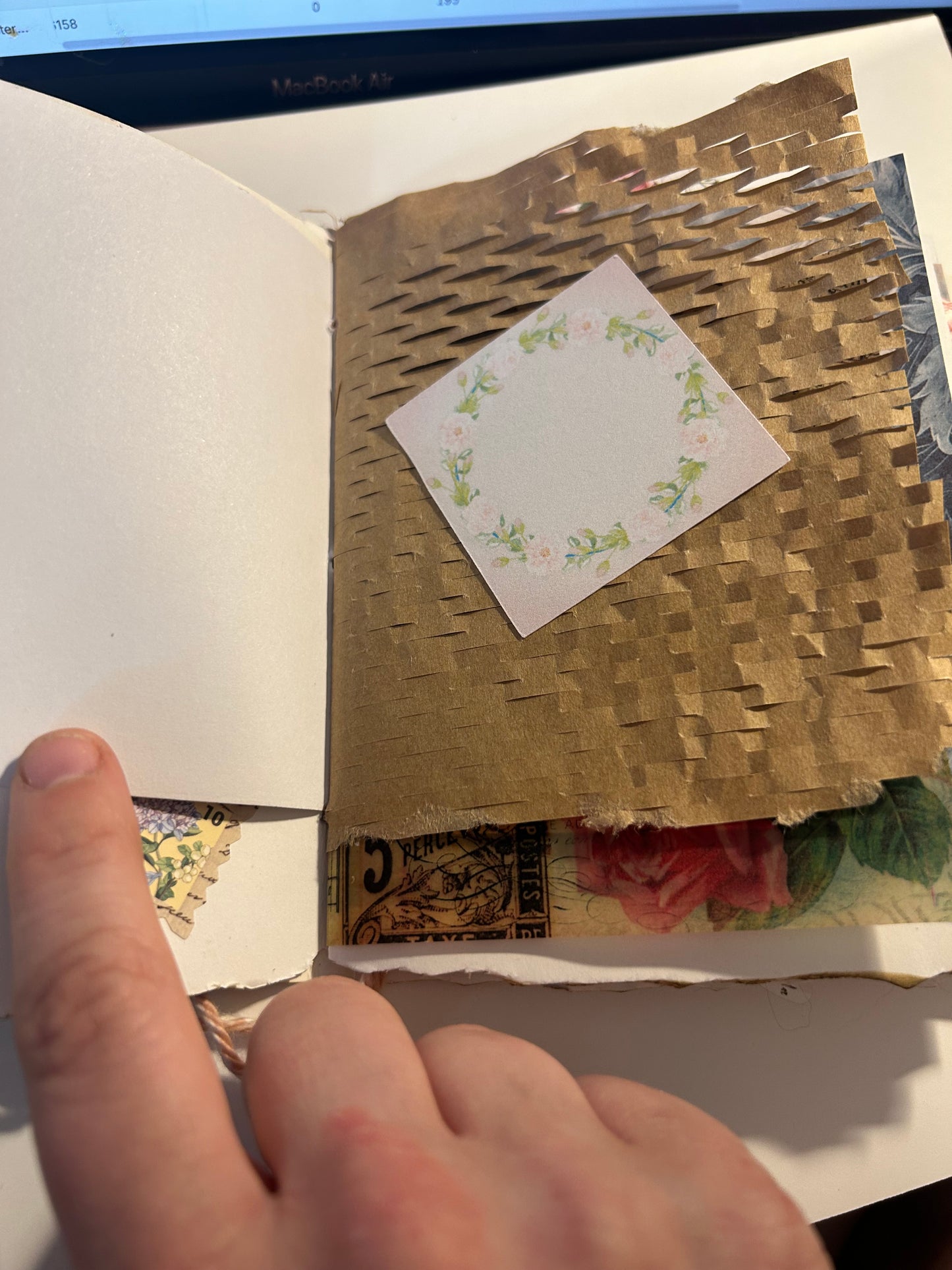 Tulip field journal