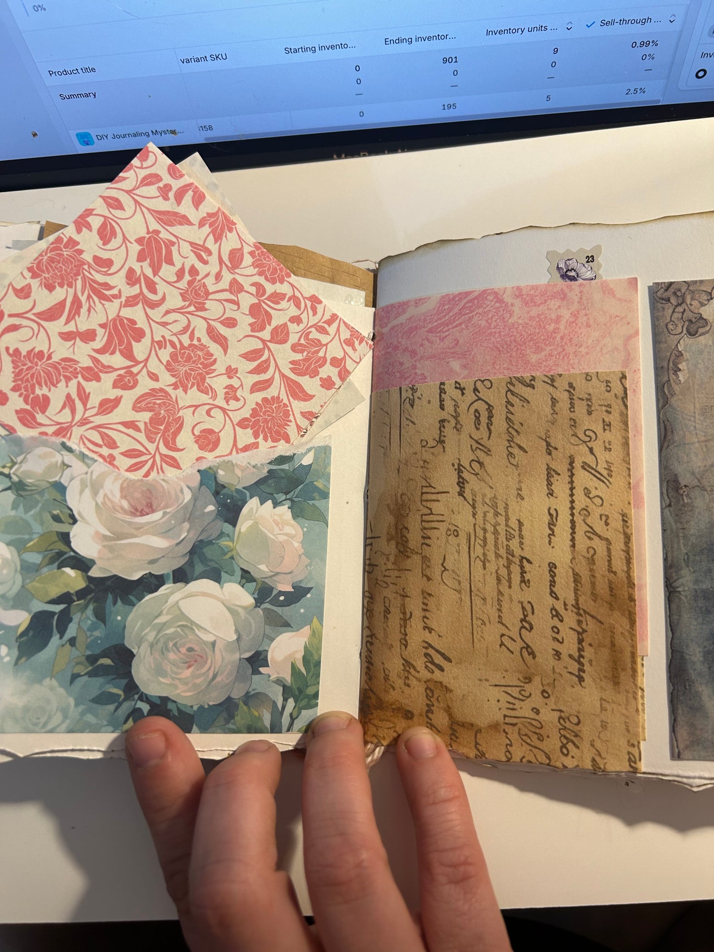 Tulip field journal