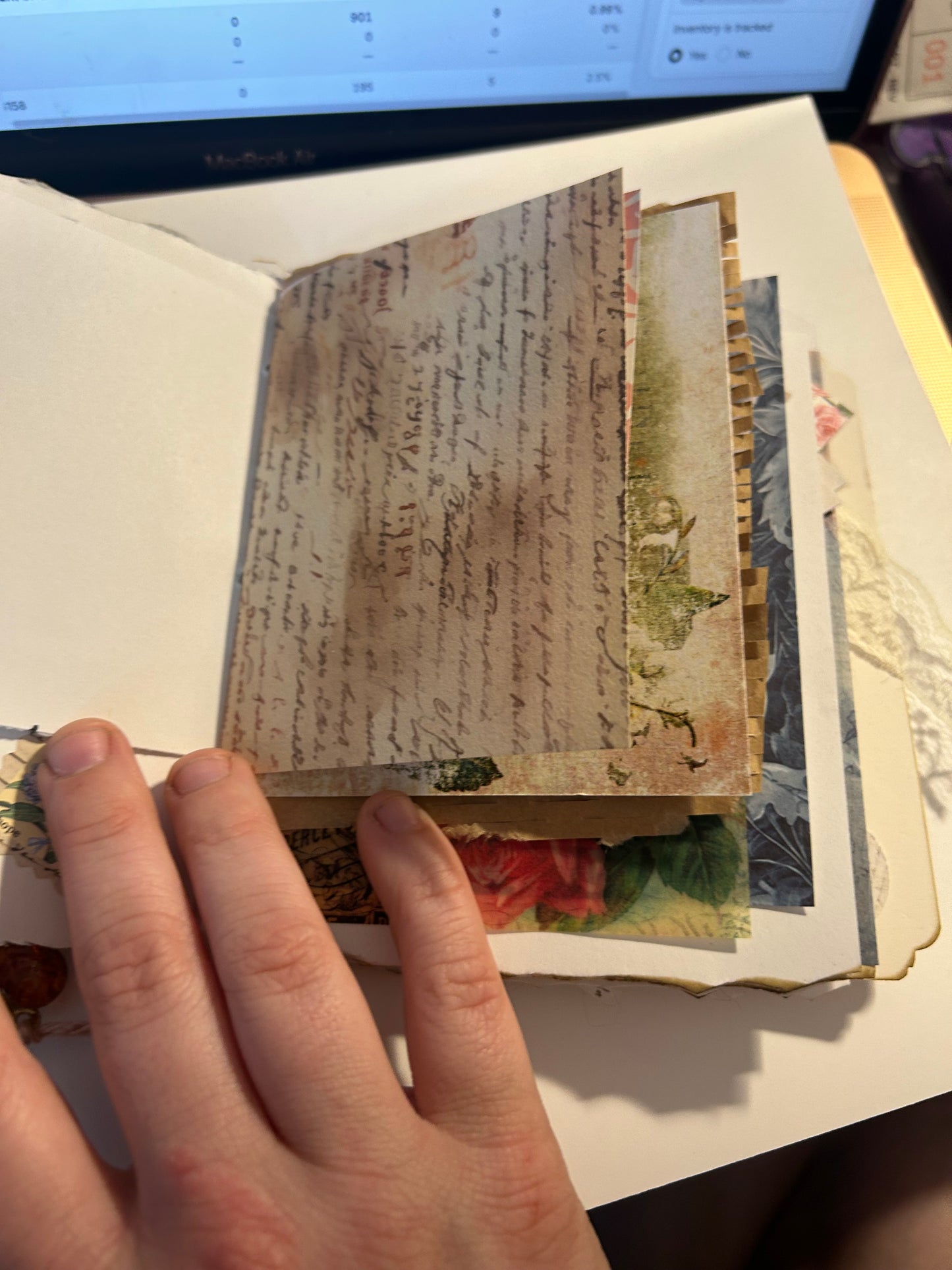 Tulip field journal