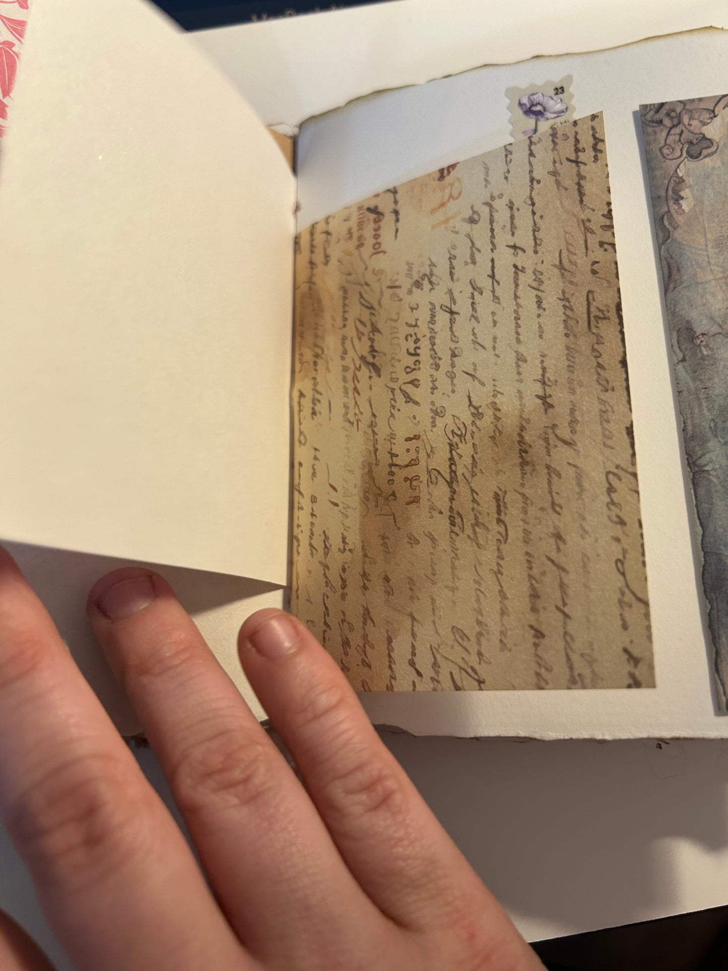 Tulip field journal