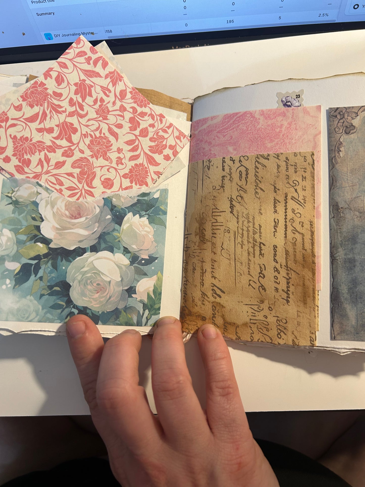 Tulip field journal
