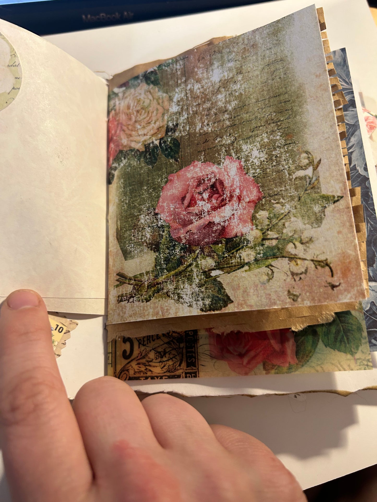 Tulip field journal