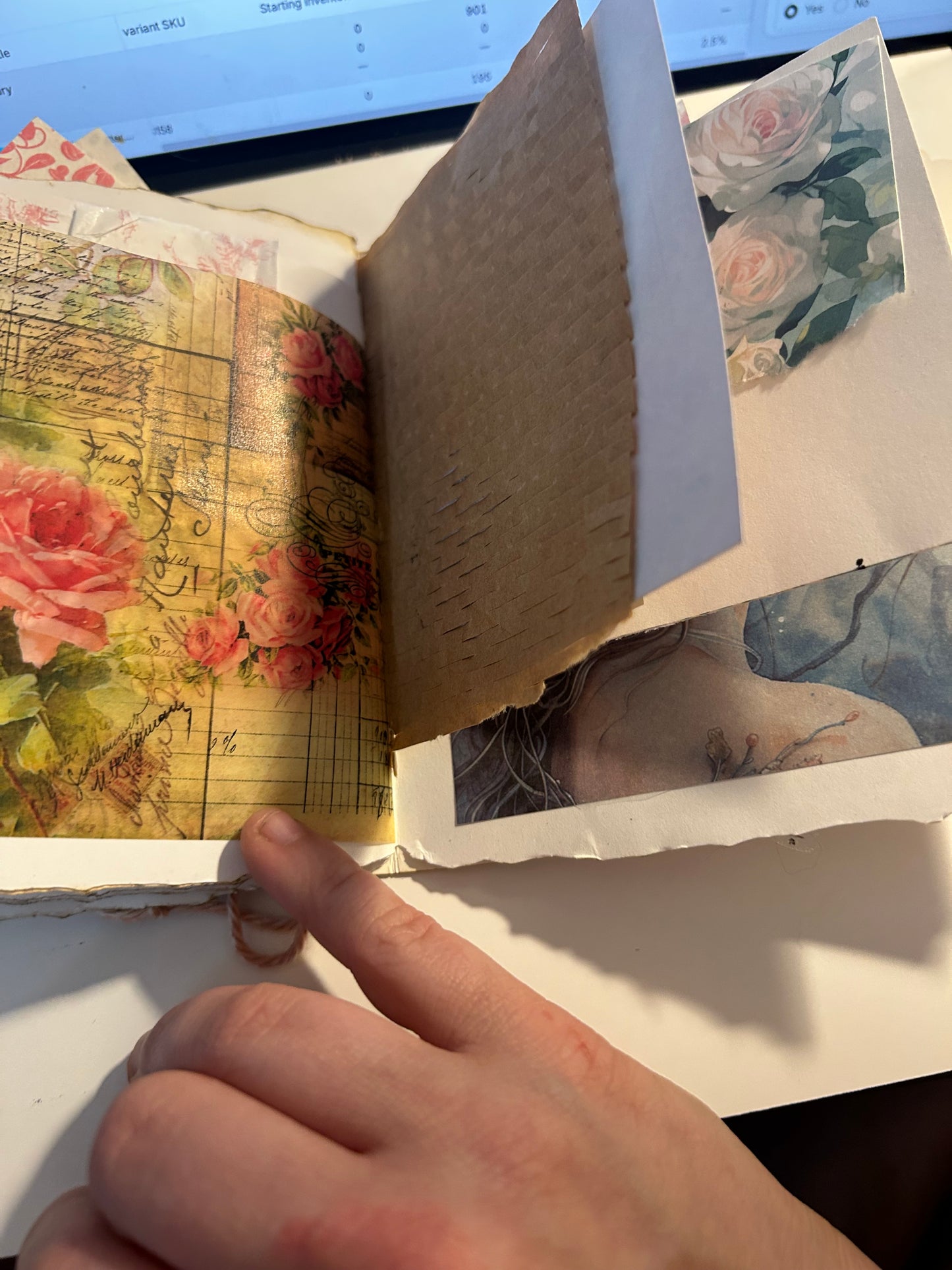 Tulip field journal