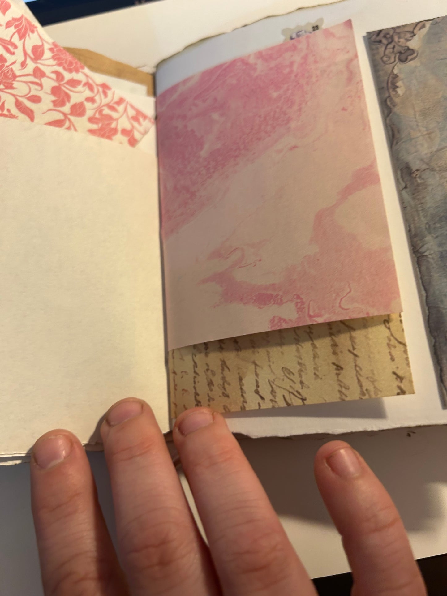 Tulip field journal
