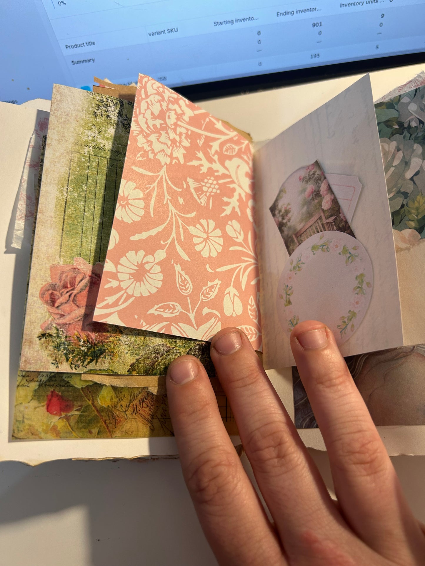 Tulip field journal