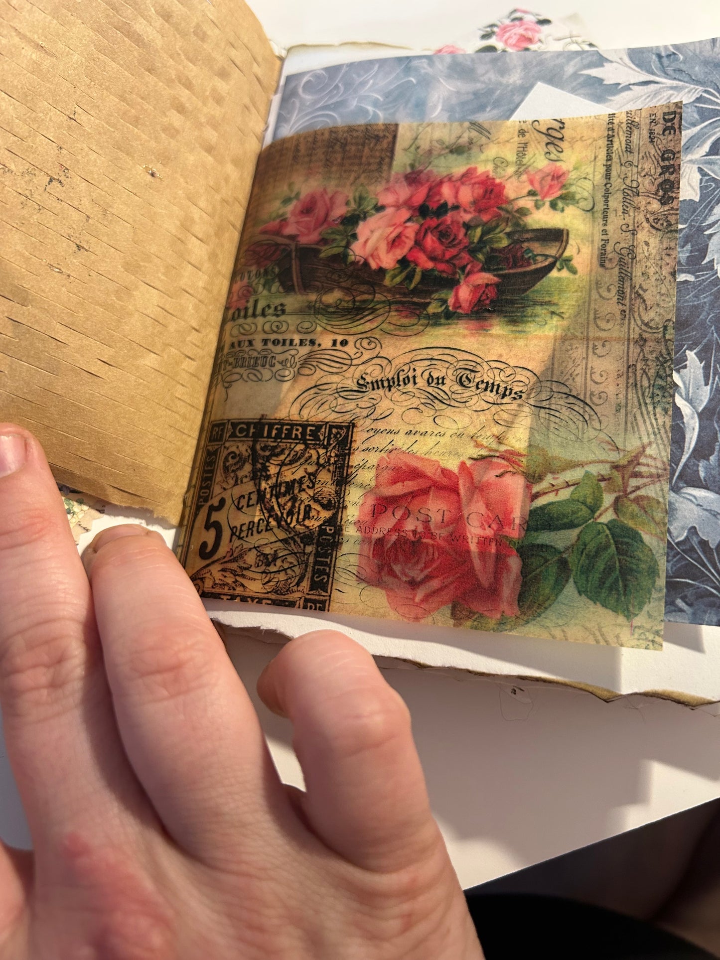 Tulip field journal
