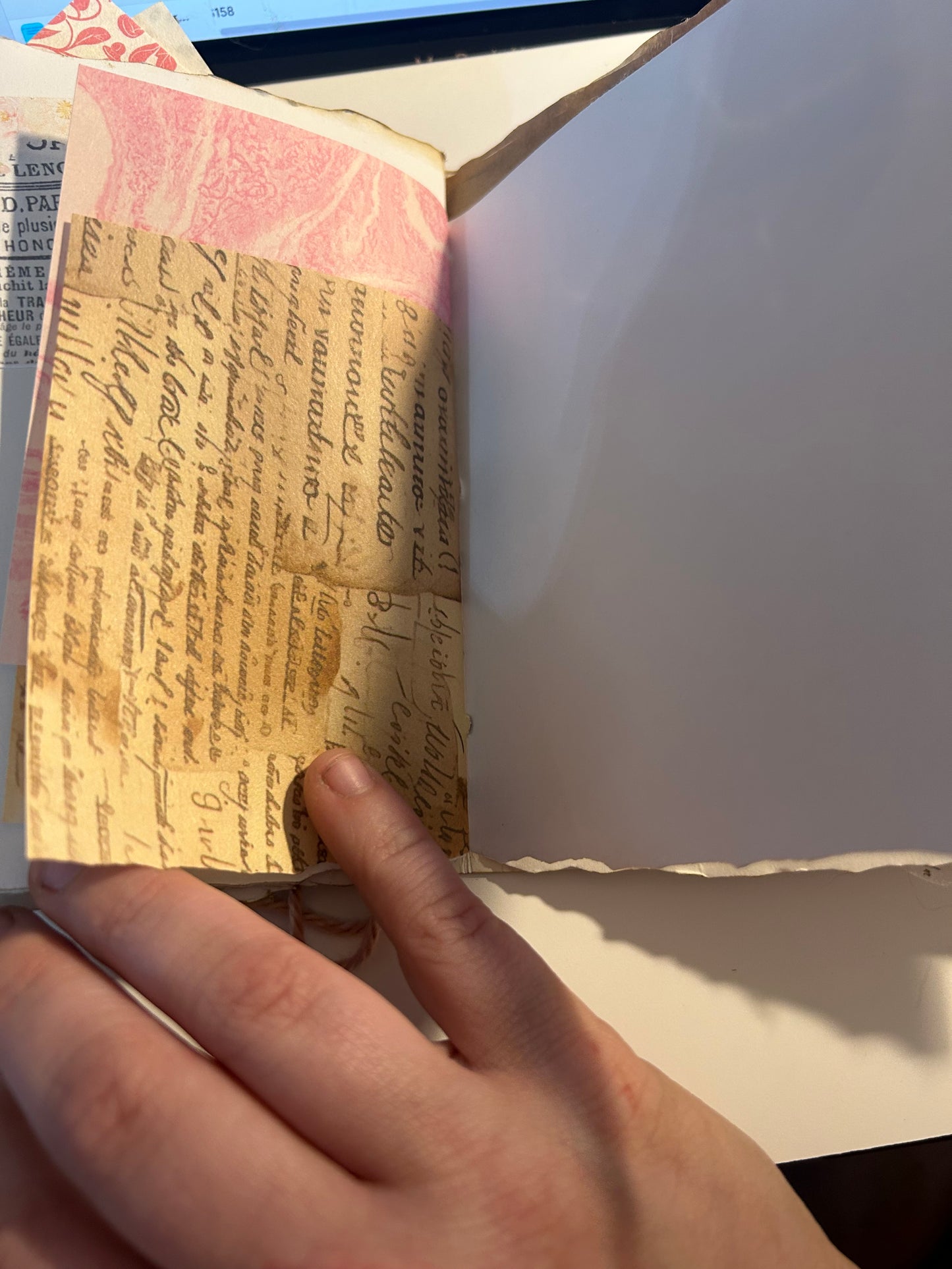 Tulip field journal