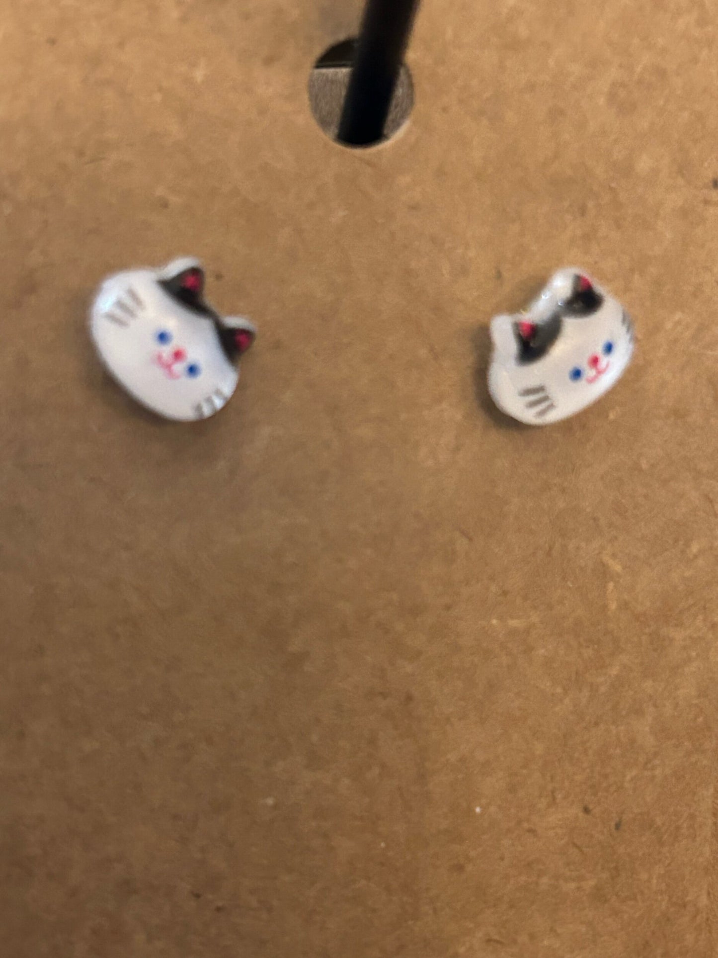 Black and white cat studs