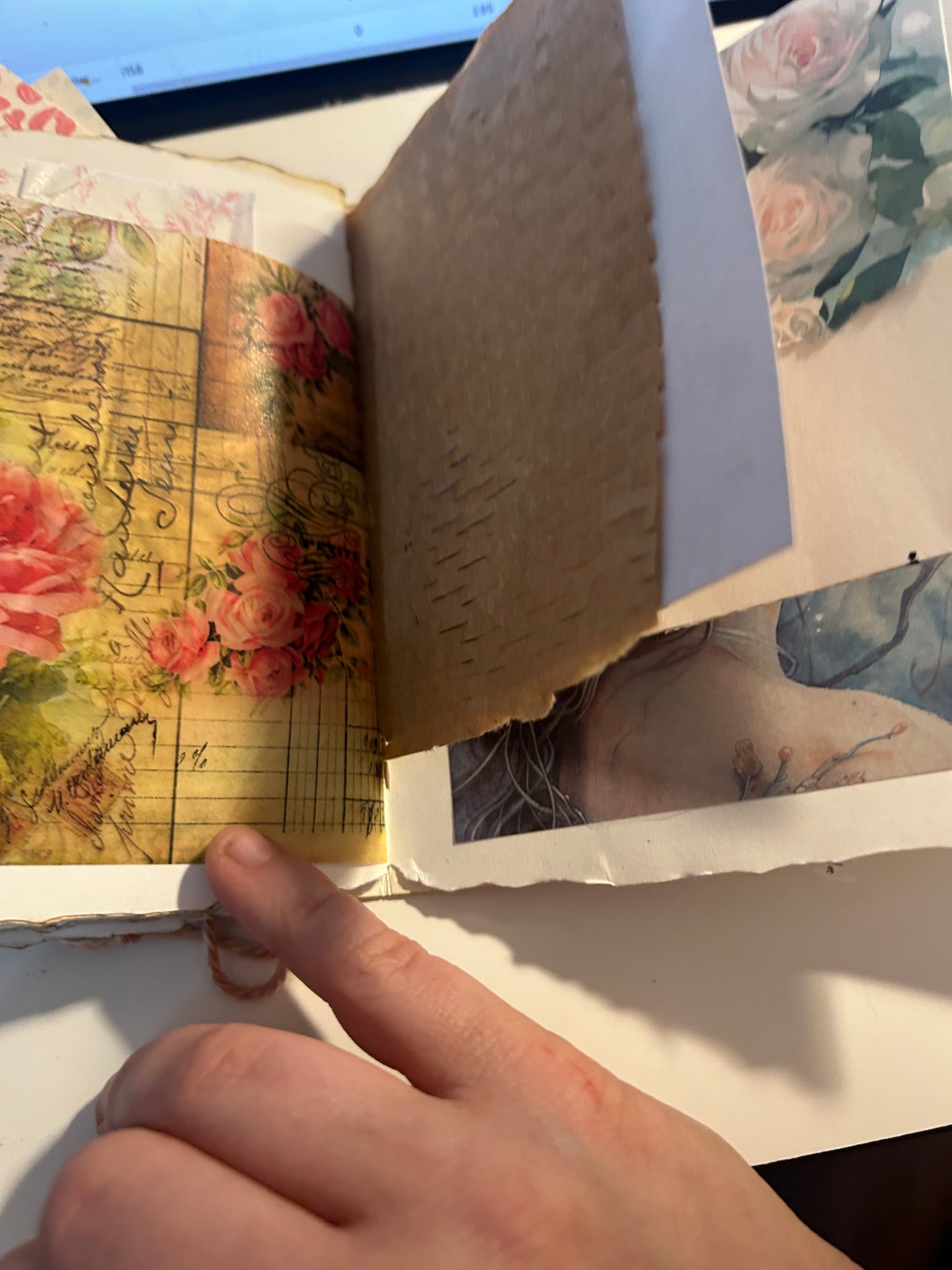 Tulip field journal