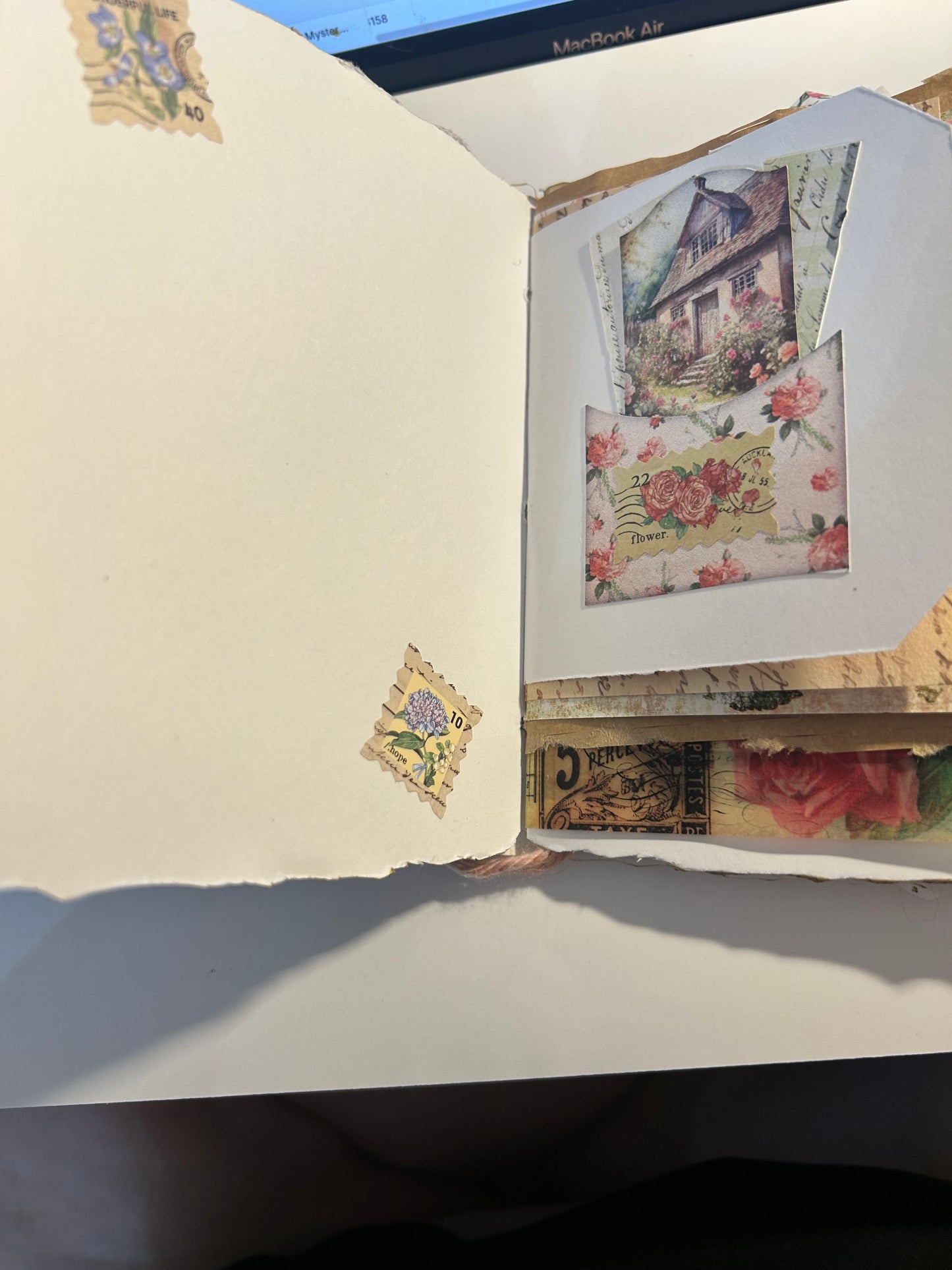Tulip field journal