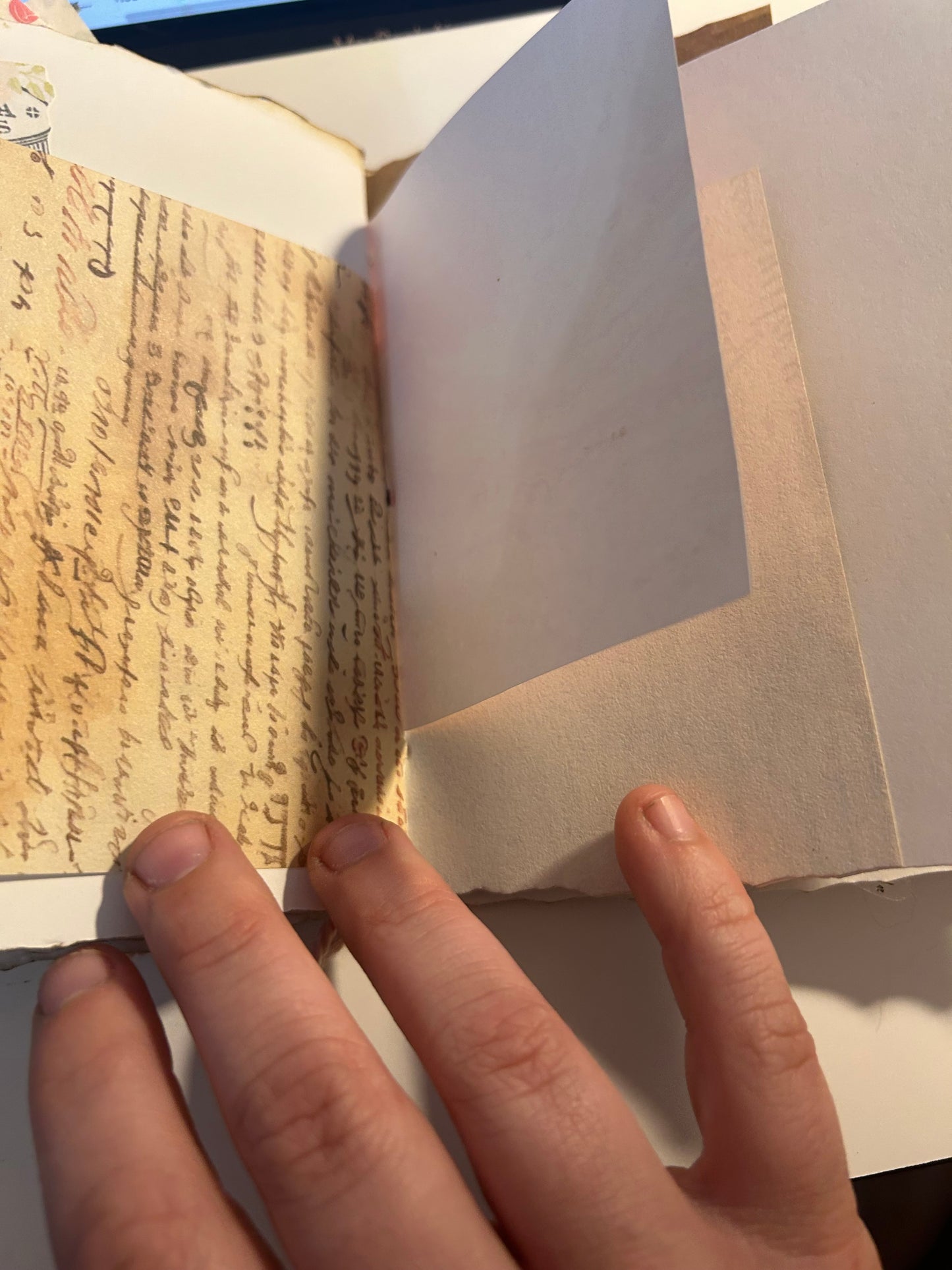 Tulip field journal