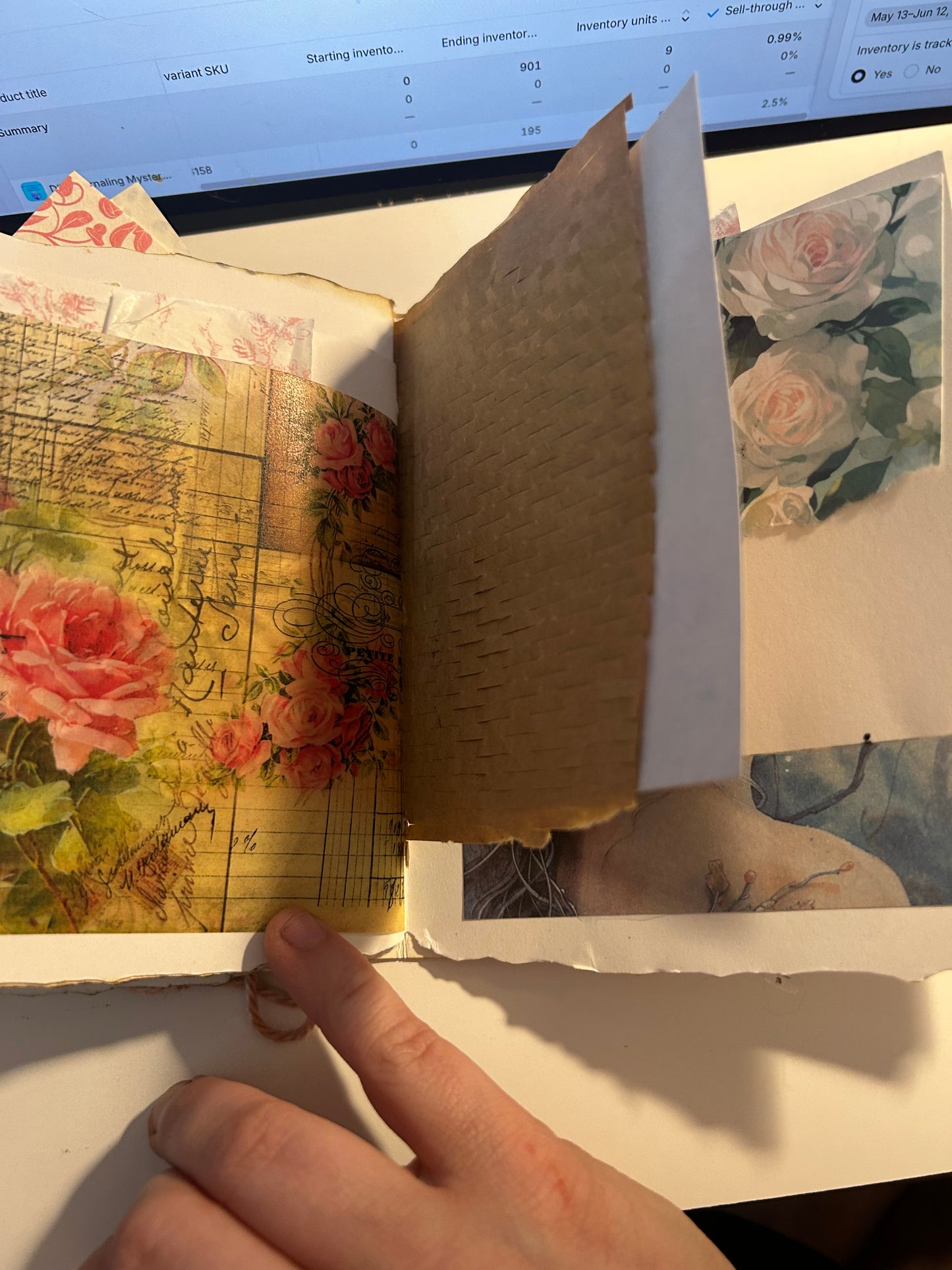Tulip field journal