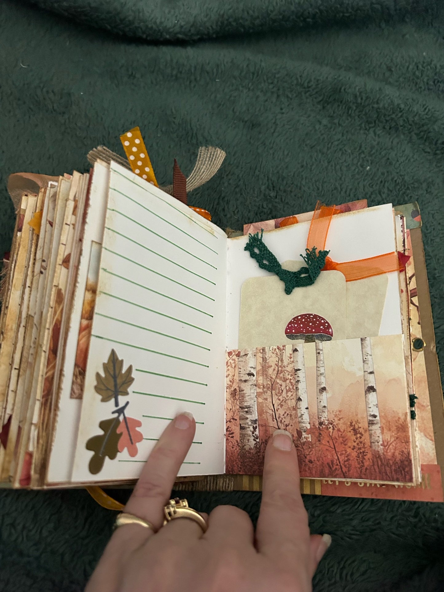 Autumn Gratitude