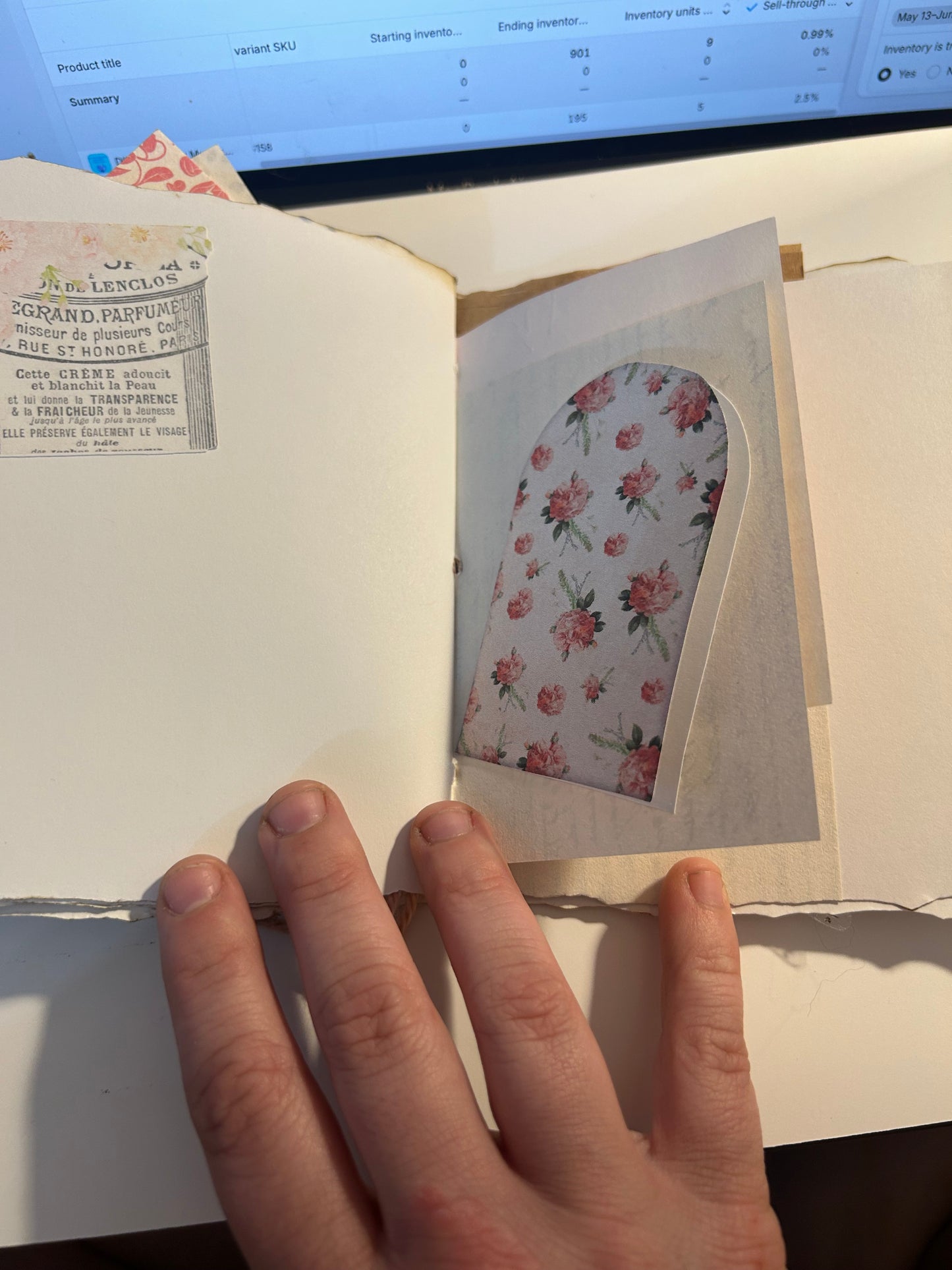 Tulip field journal