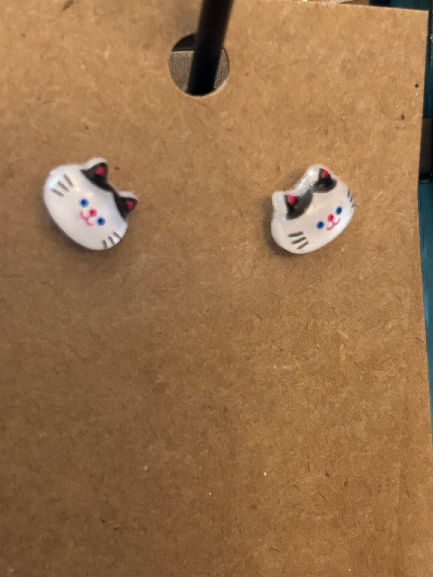Black and white cat studs