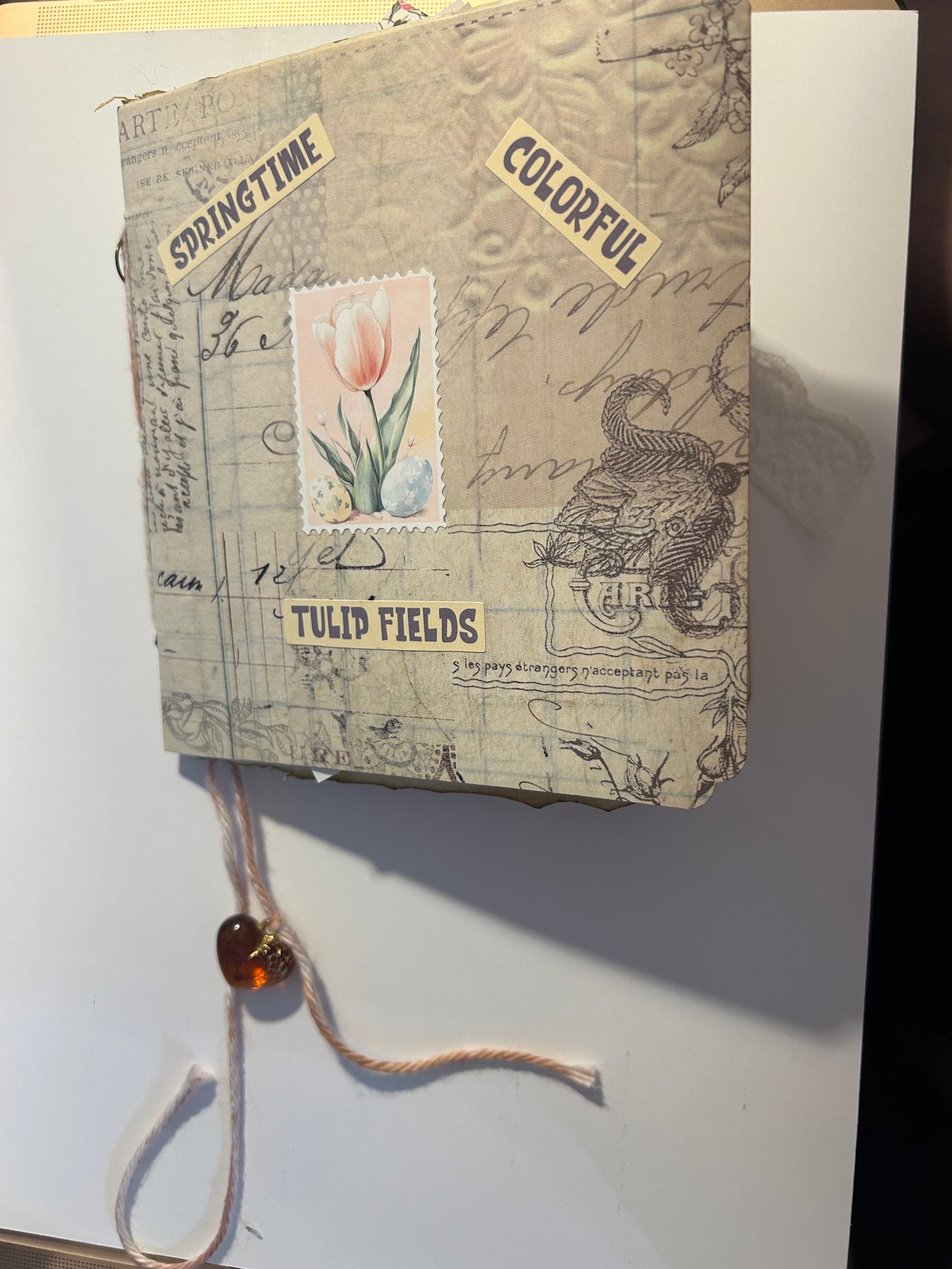 Tulip field journal