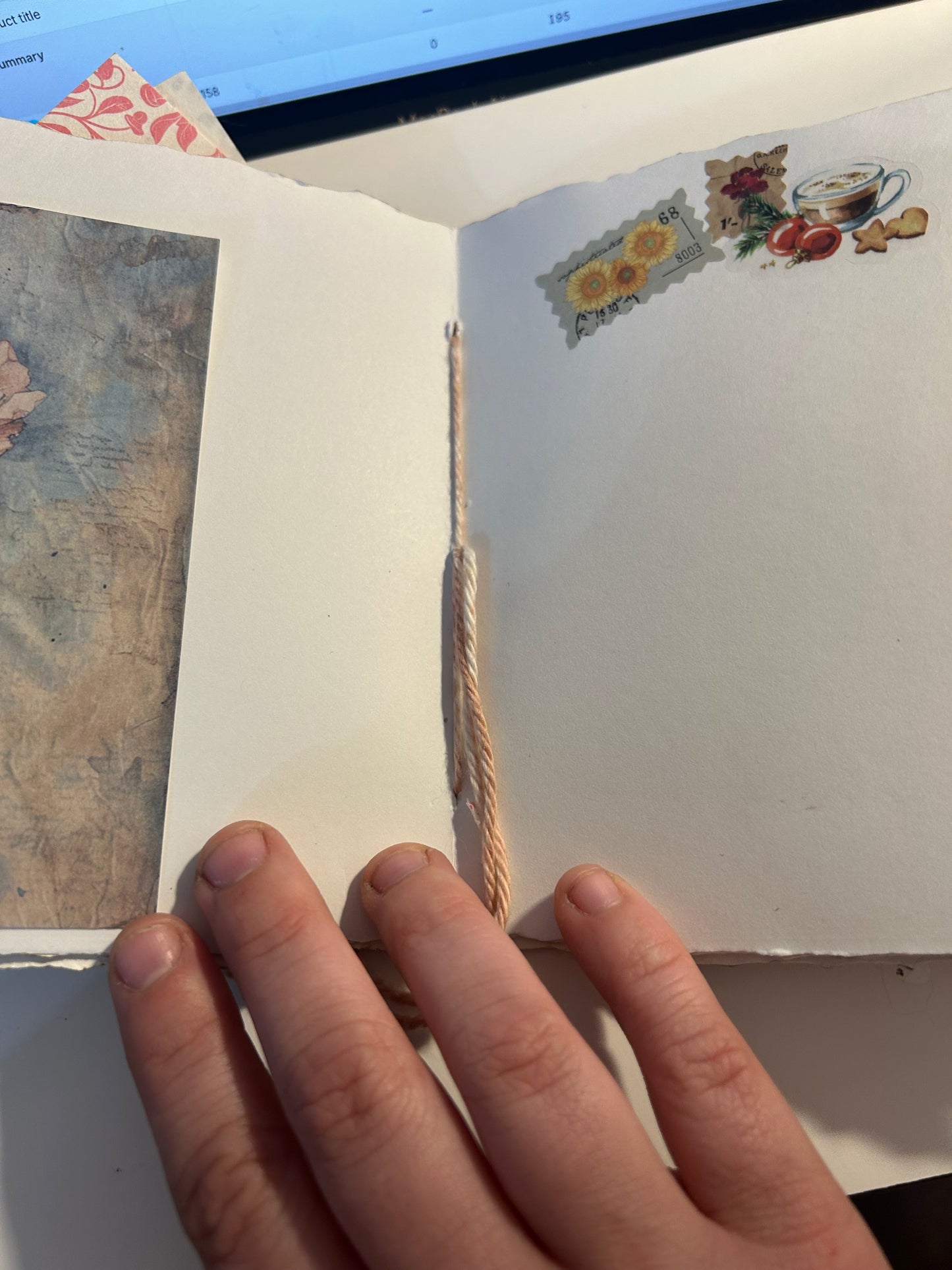 Tulip field journal