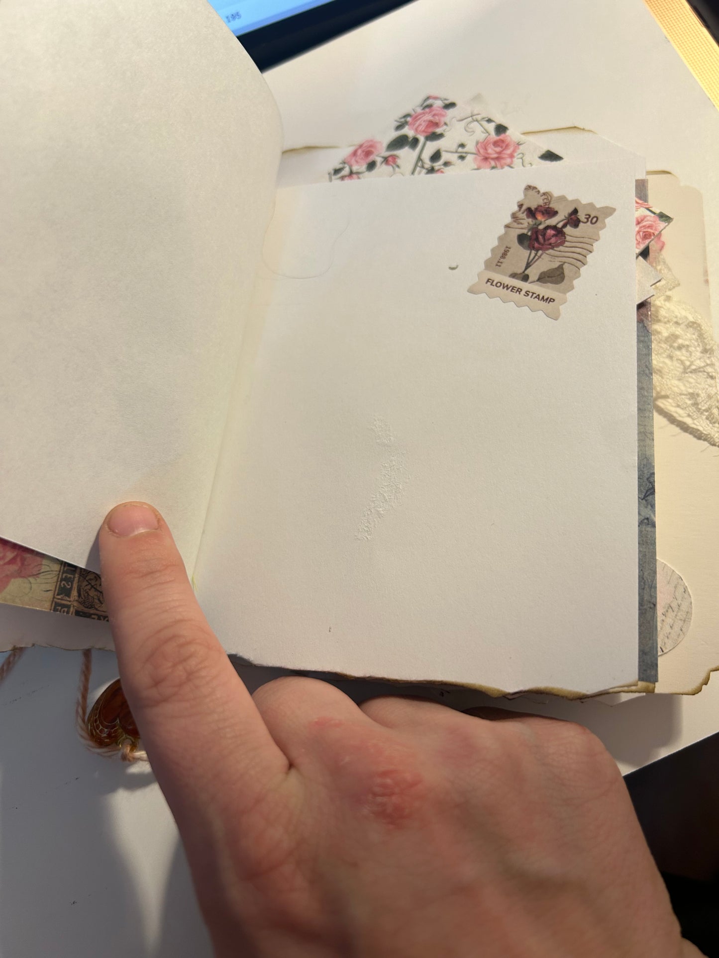 Tulip field journal