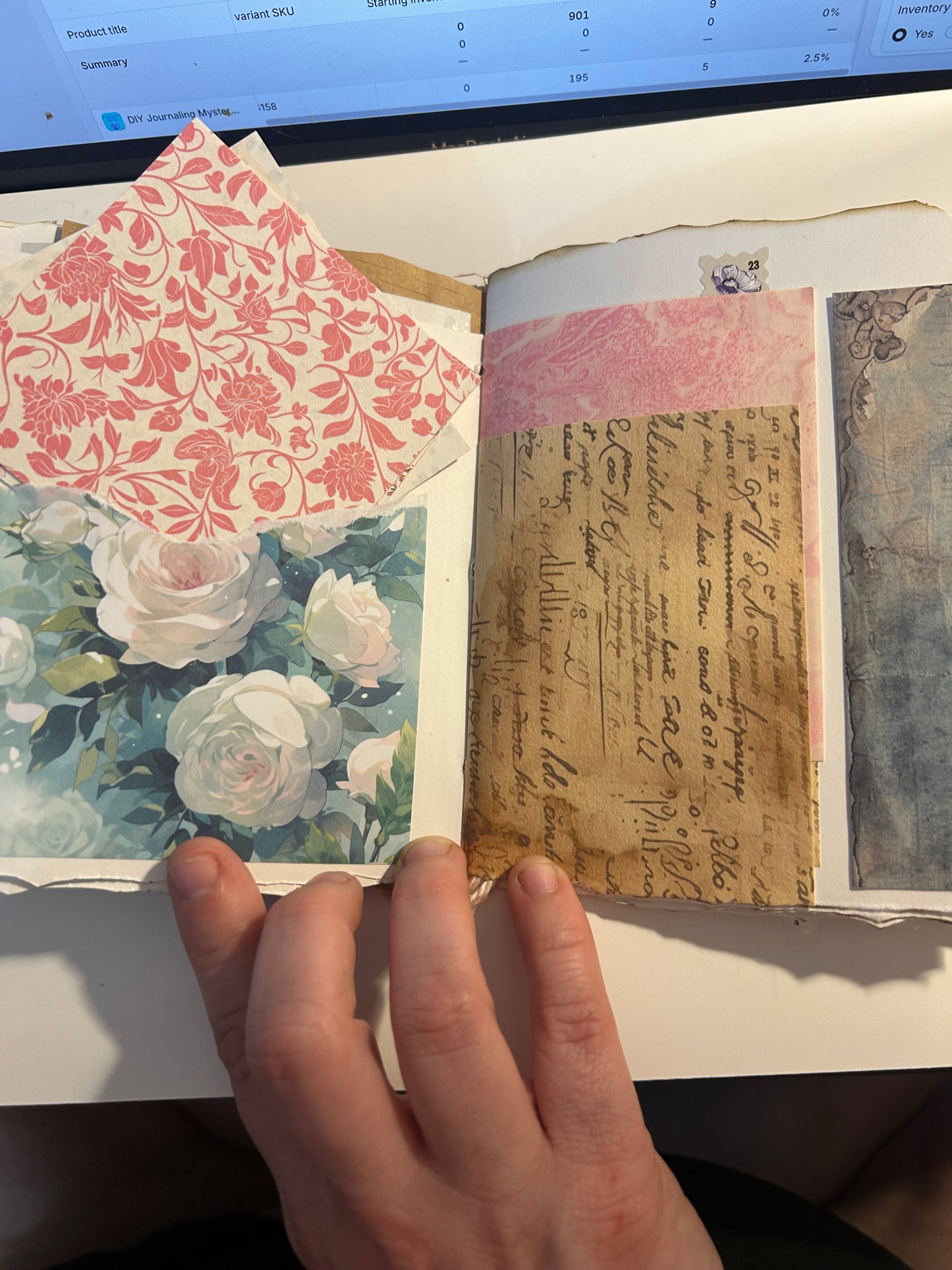 Tulip field journal