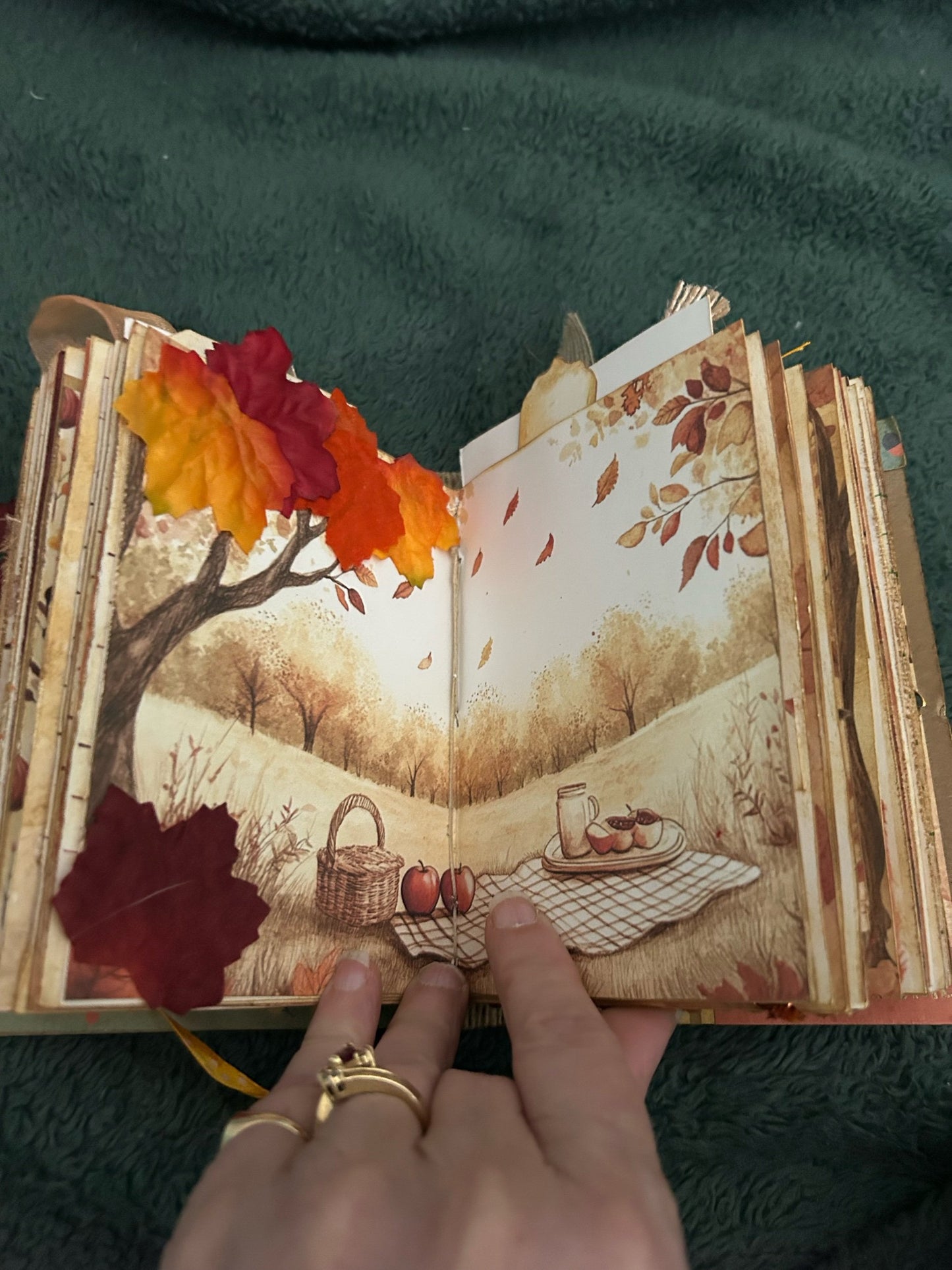 Autumn Gratitude