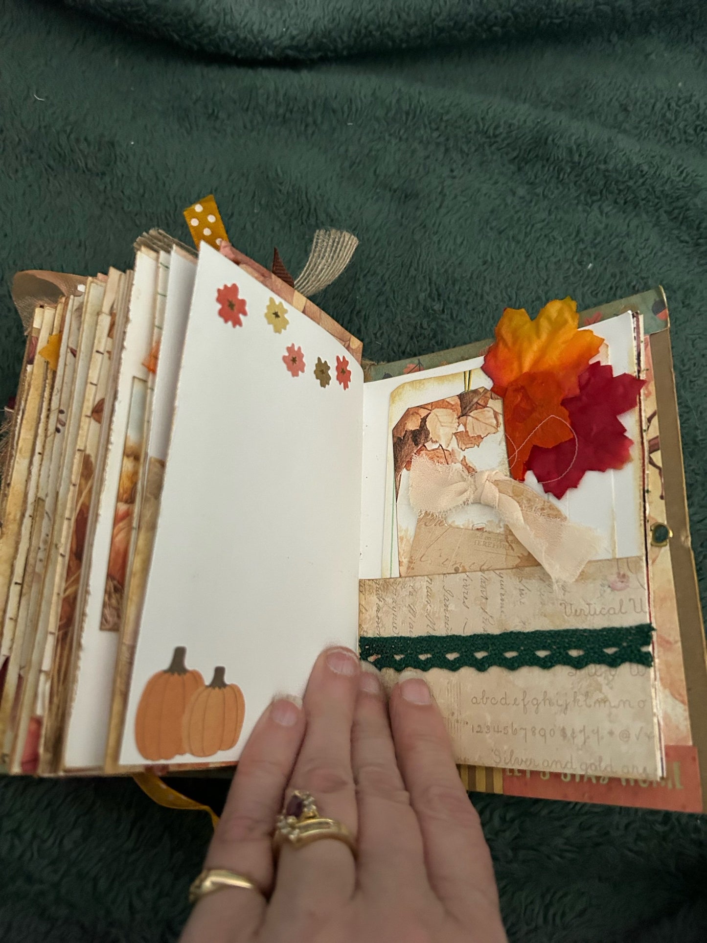 Autumn Gratitude