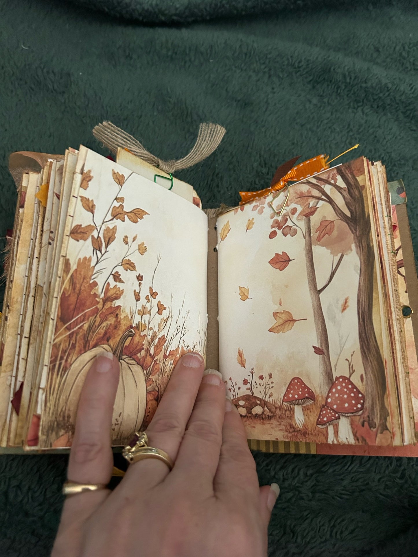 Autumn Gratitude