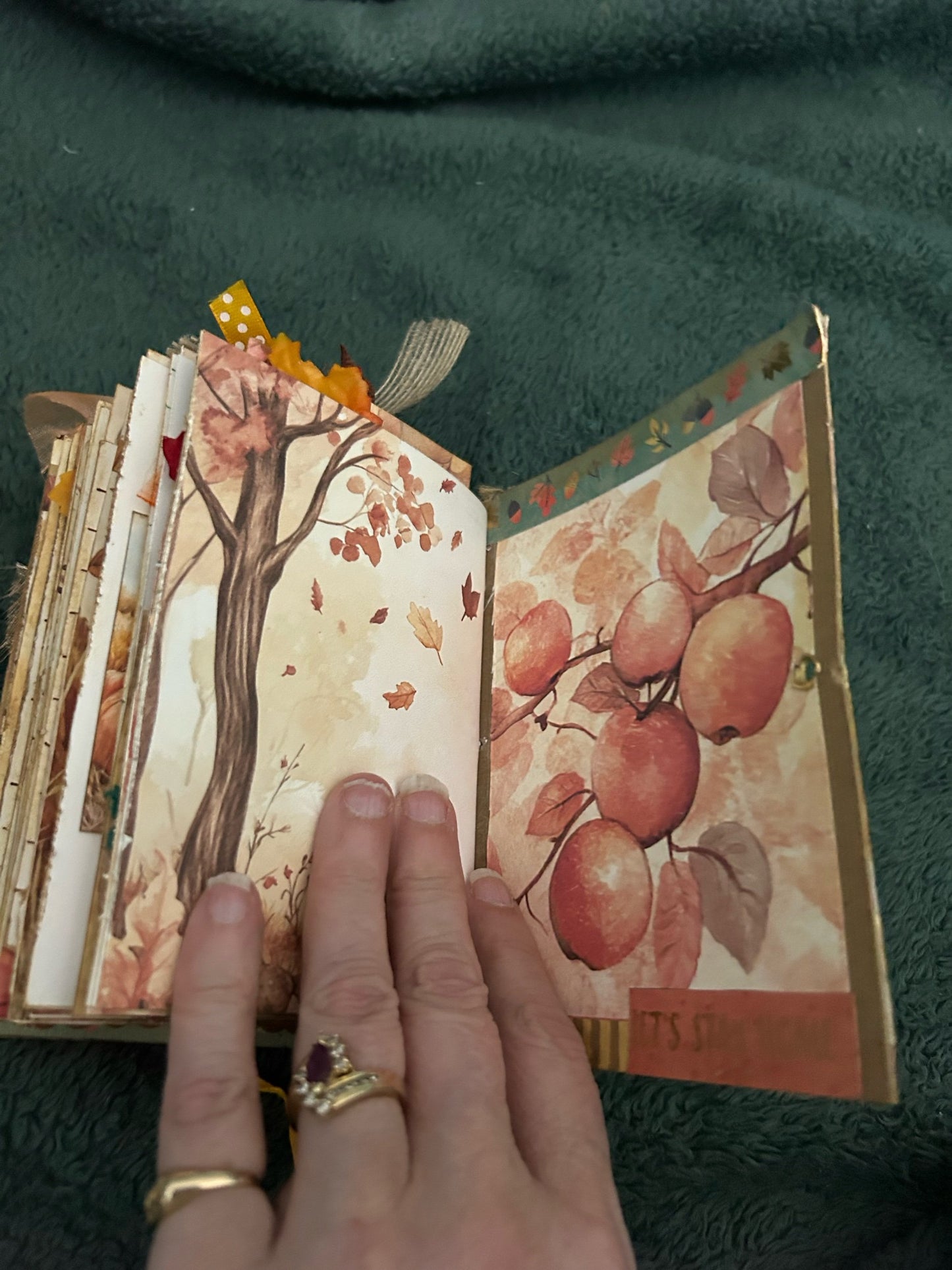 Autumn Gratitude