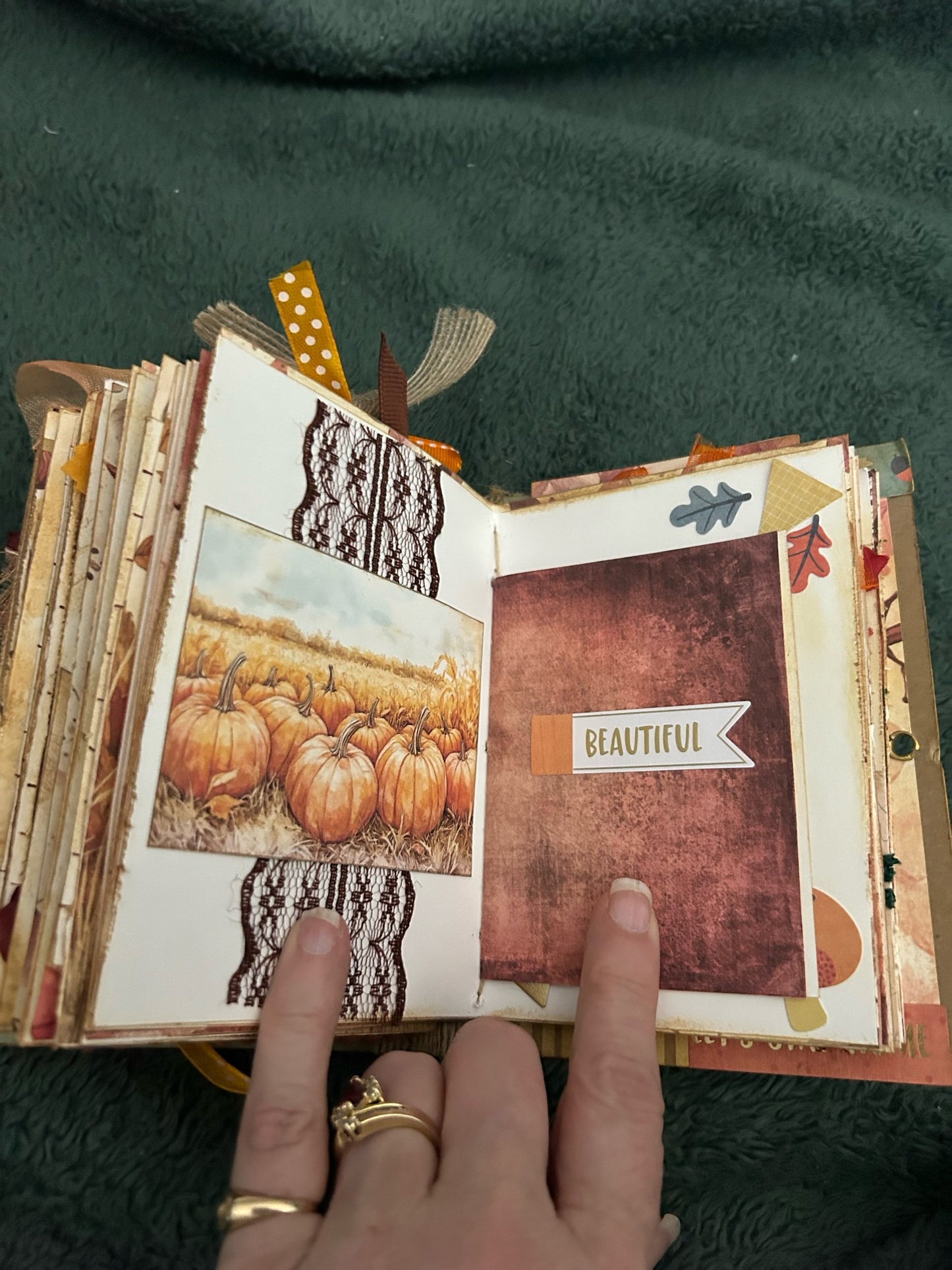 Autumn Gratitude